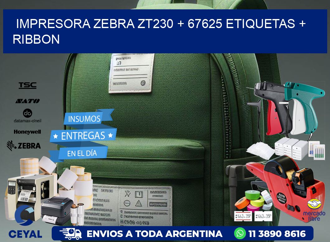 impresora zebra zt230 + 67625 etiquetas + ribbon