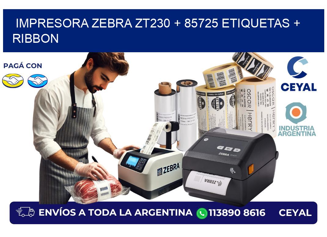 impresora zebra zt230 + 85725 etiquetas + ribbon