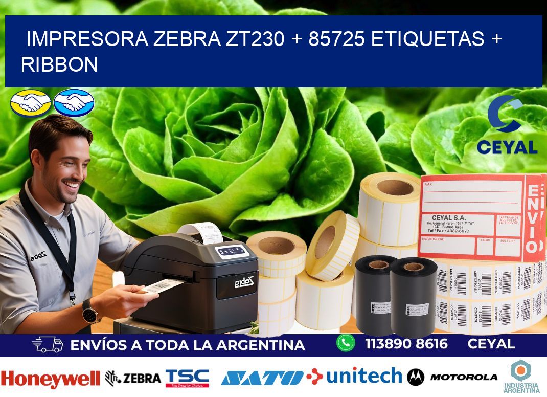 impresora zebra zt230 + 85725 etiquetas + ribbon