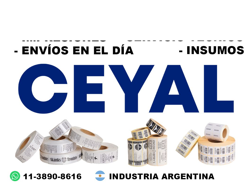 impresora zebra zt231 + 3185 etiquetas + ribbon