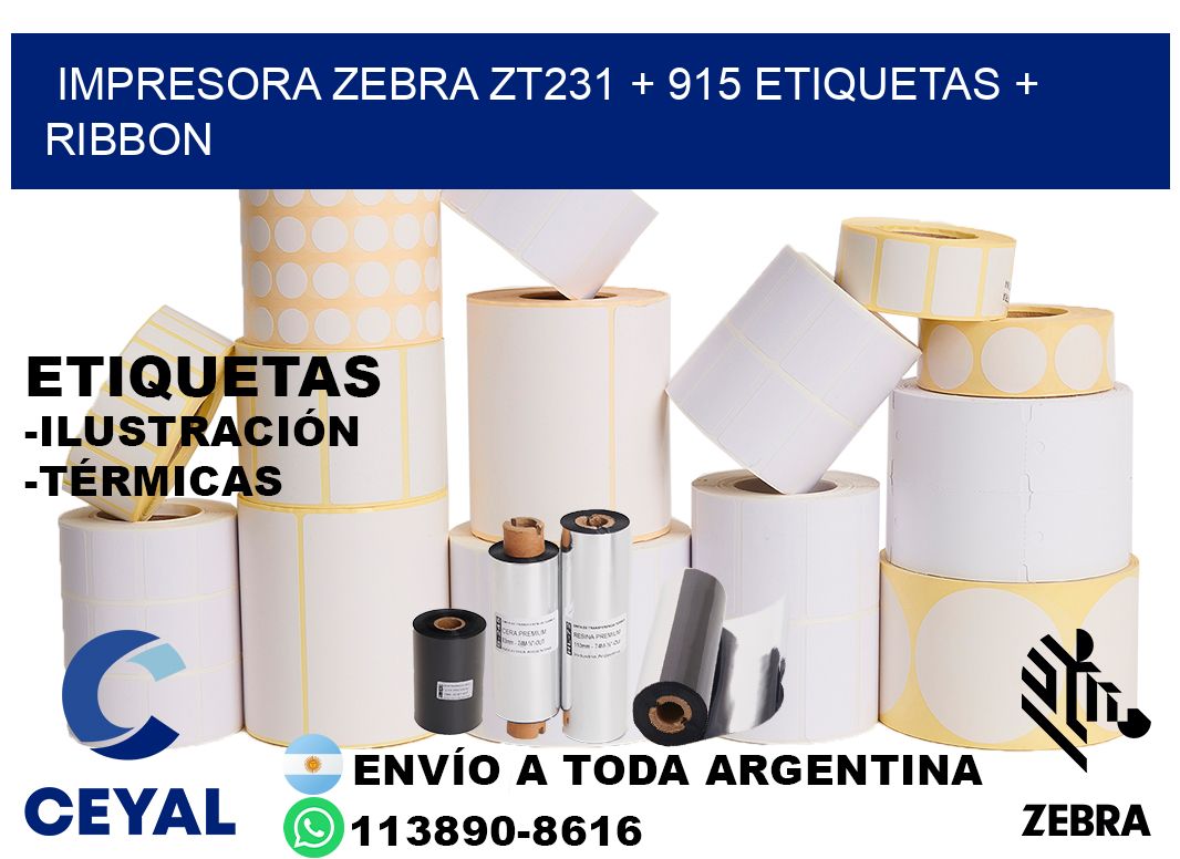 impresora zebra zt231 + 915 etiquetas + ribbon