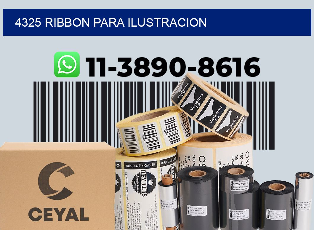 4325 ribbon para ilustracion