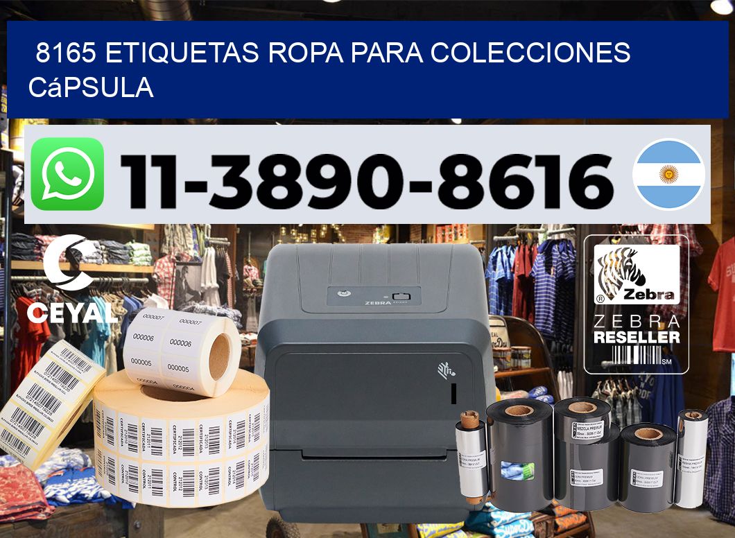 8165 Etiquetas ropa para colecciones cápsula