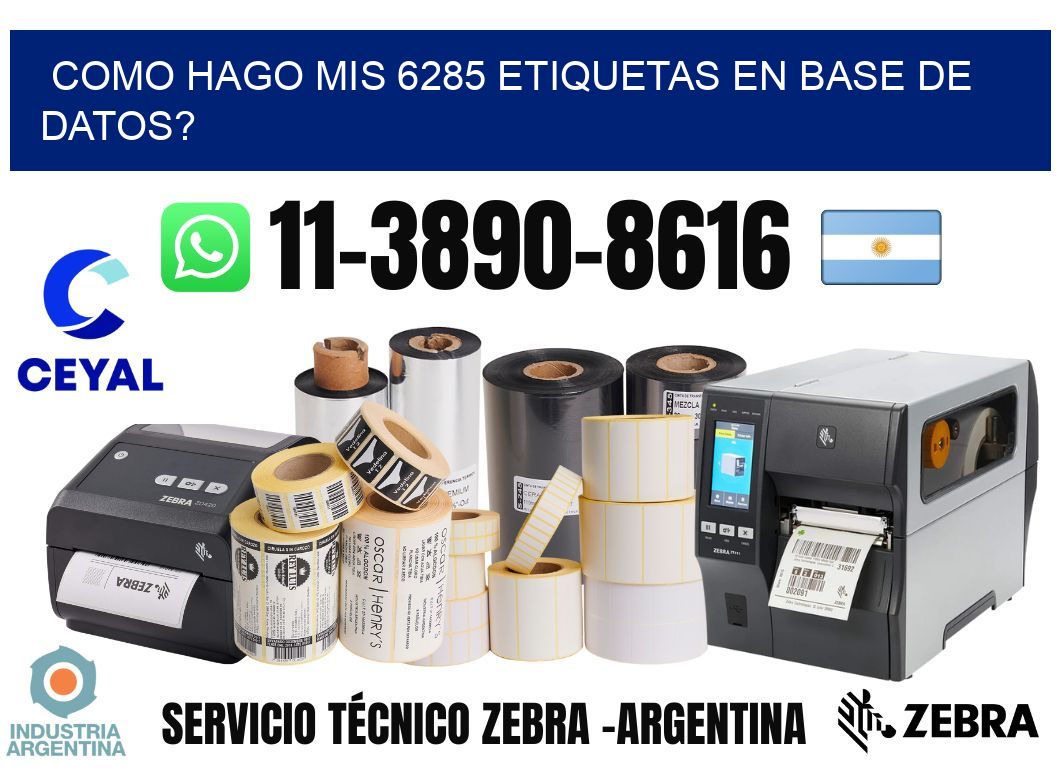 como hago mis 6285 etiquetas en base de datos?