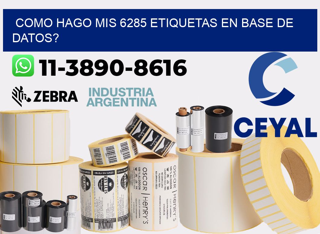 como hago mis 6285 etiquetas en base de datos?