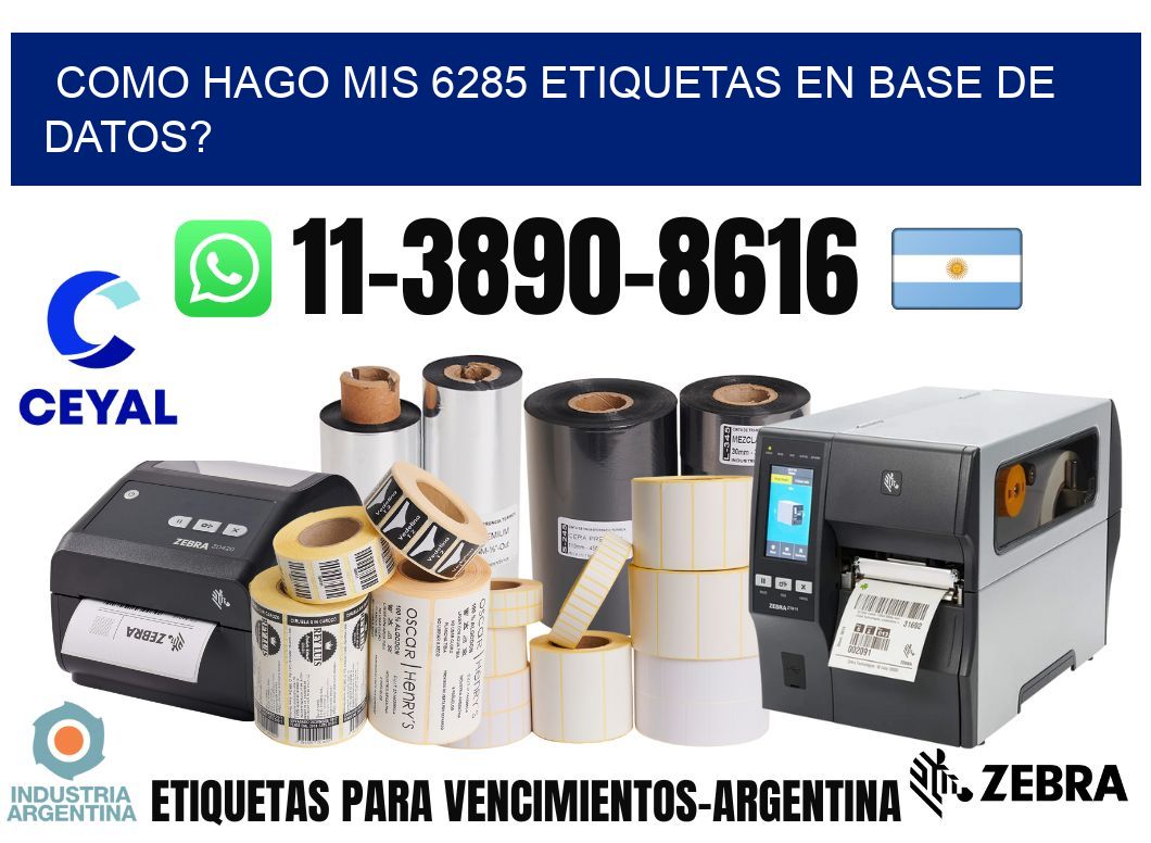 como hago mis 6285 etiquetas en base de datos?