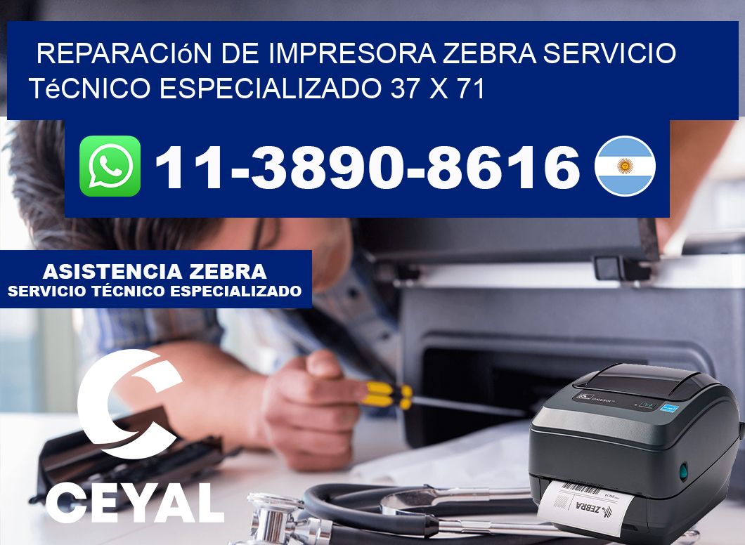Reparación de Impresora Zebra Servicio Técnico Especializado 37 x 71