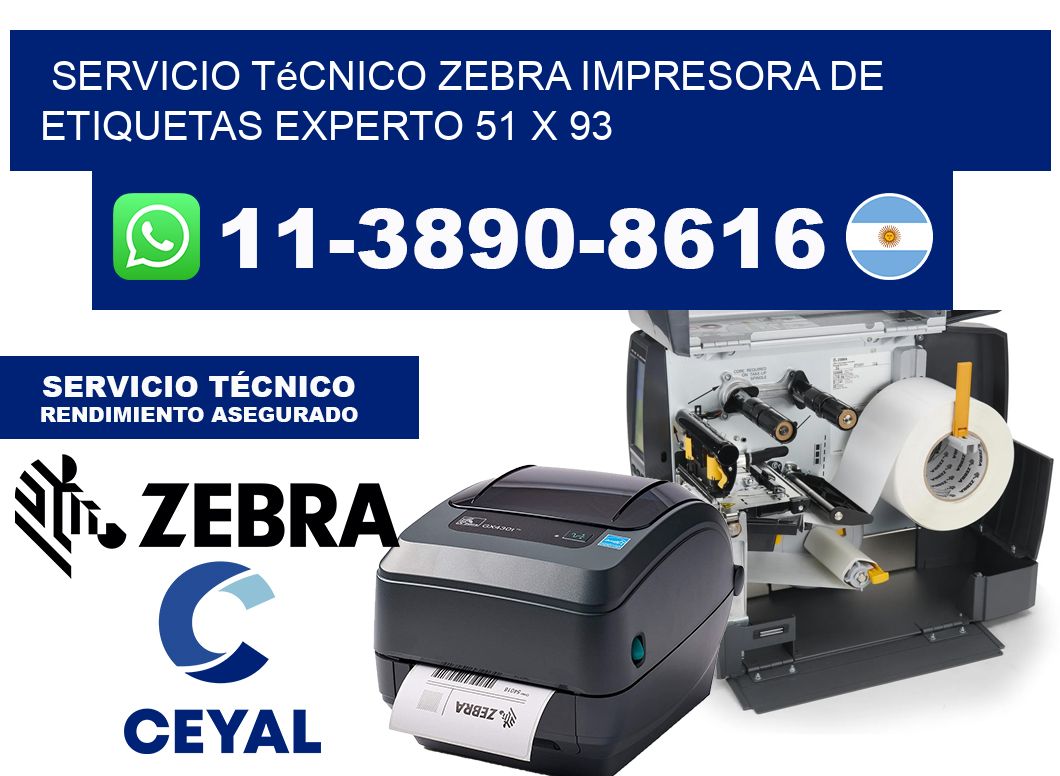 Servicio Técnico Zebra Impresora de Etiquetas Experto 51 x 93