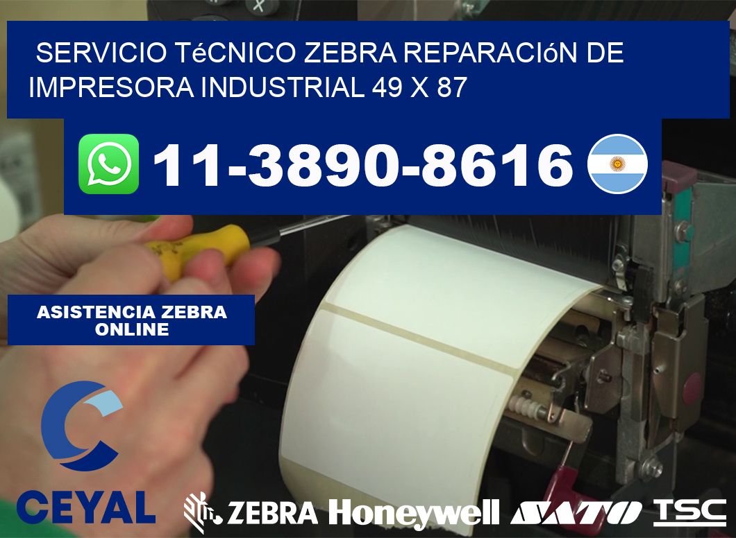 Servicio Técnico Zebra Reparación de Impresora Industrial 49 x 87