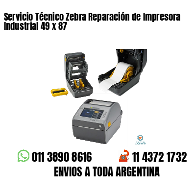Servicio Técnico Zebra Reparación de Impresora Industrial 49 x 87
