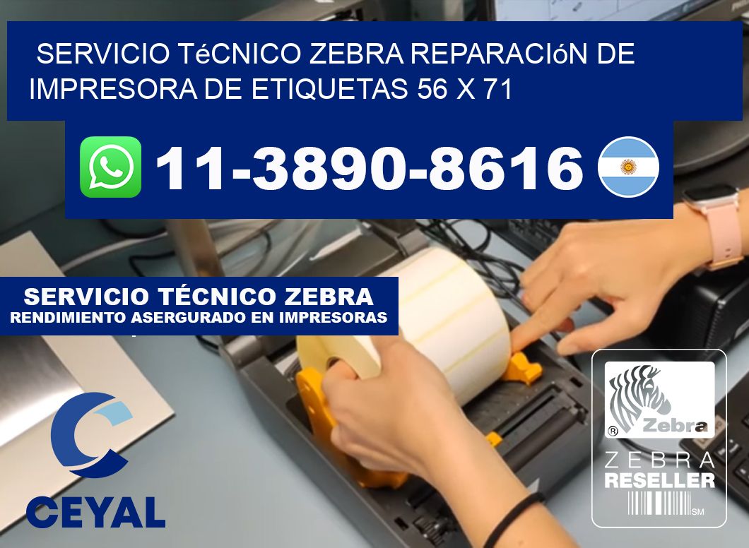Servicio Técnico Zebra Reparación de Impresora de Etiquetas 56 x 71