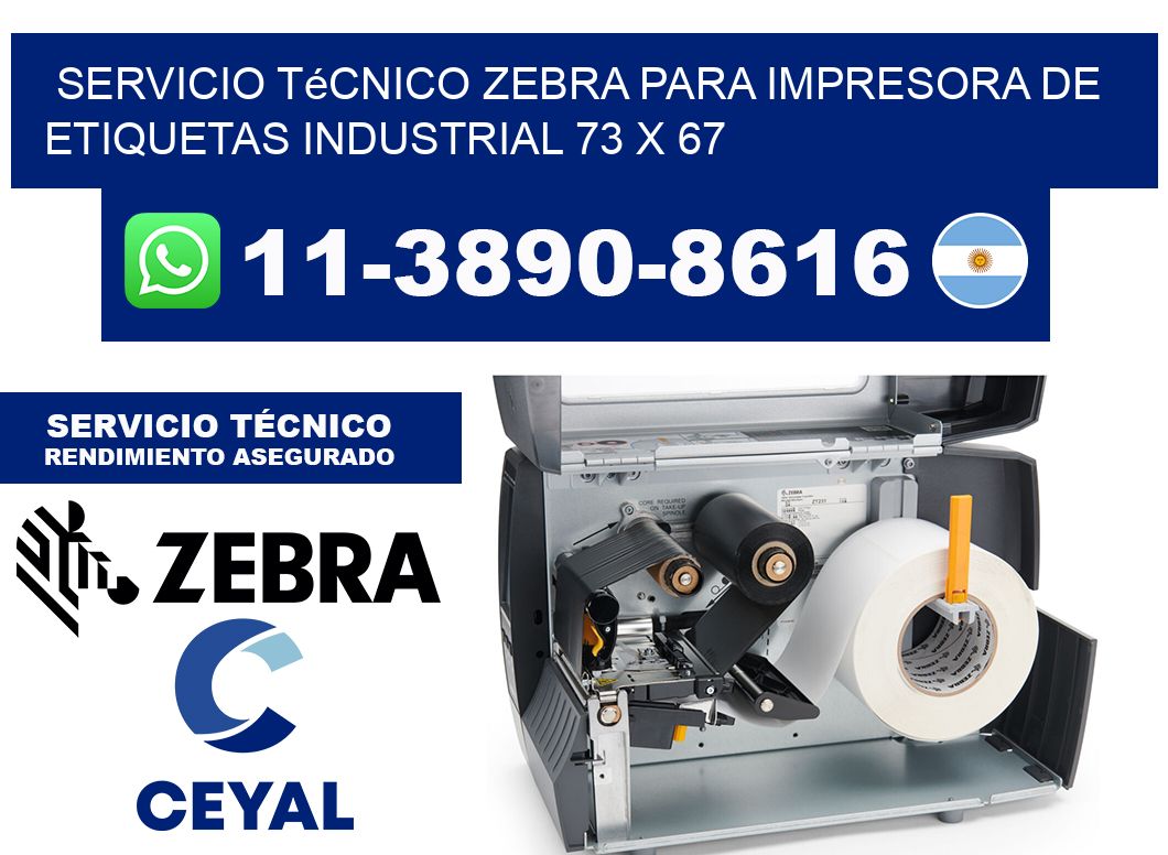Servicio Técnico Zebra para Impresora de Etiquetas Industrial 73 x 67