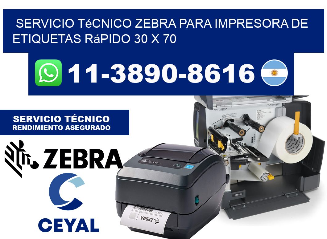 Servicio Técnico Zebra para Impresora de Etiquetas Rápido 30 x 70