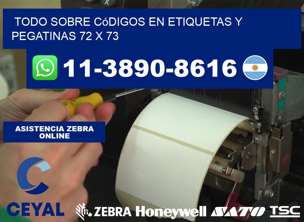 Todo sobre códigos en etiquetas y pegatinas 72 x 73