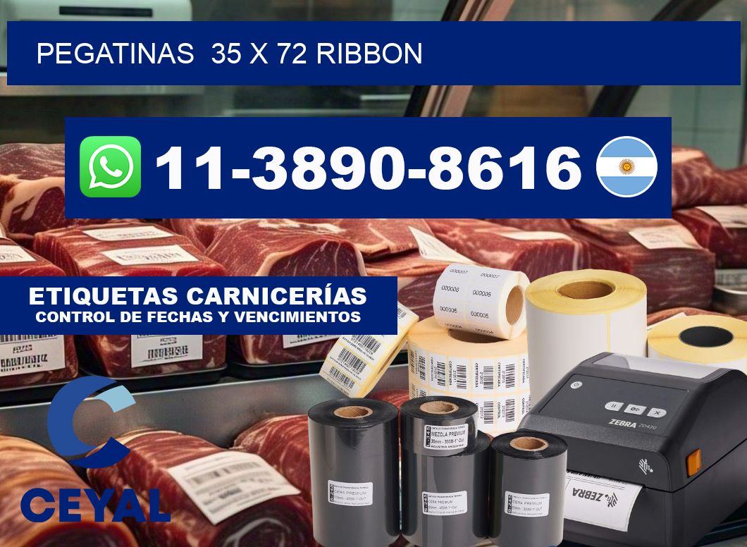 pegatinas  35 x 72 ribbon