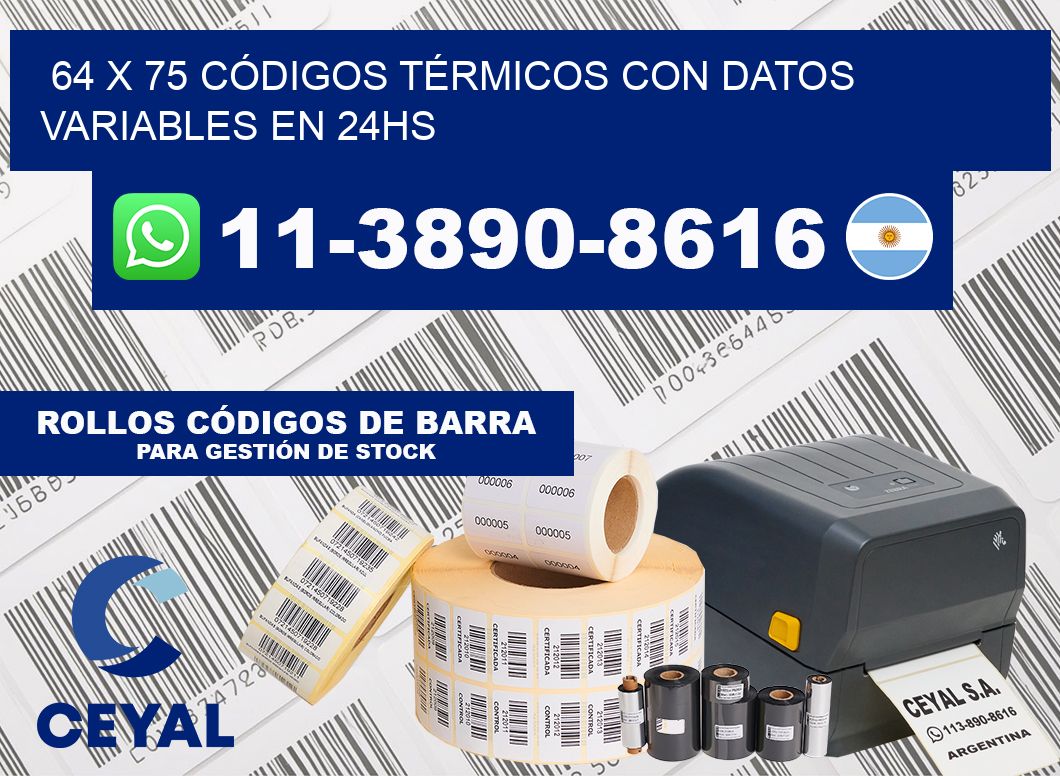 64 x 75 CÓDIGOS TÉRMICOS CON DATOS VARIABLES EN 24HS