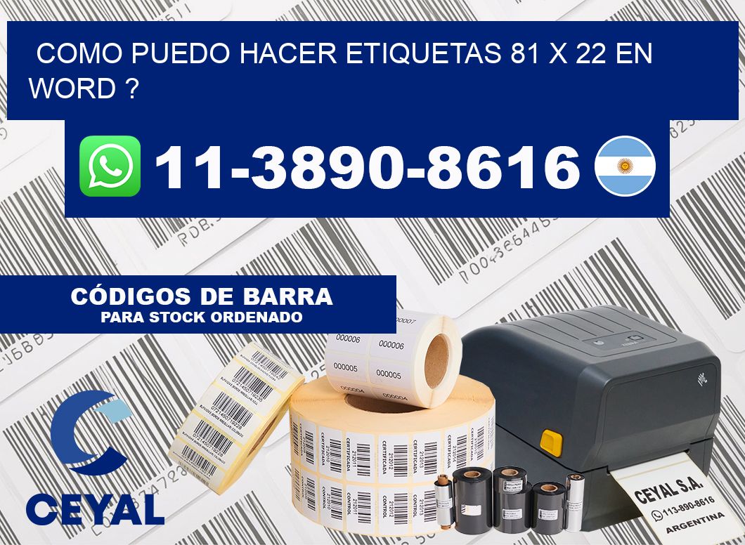como puedo hacer etiquetas 81 x 22 en word ?